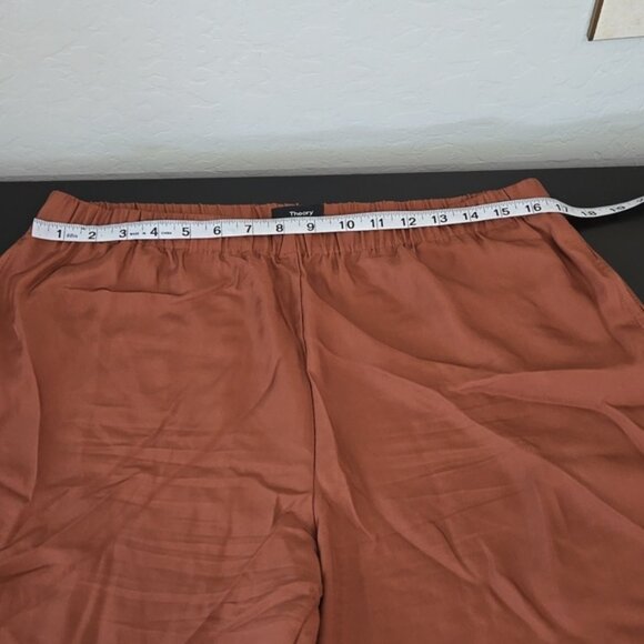 Theory Red Clay Cargo Joggers - Picture 11 of 13
